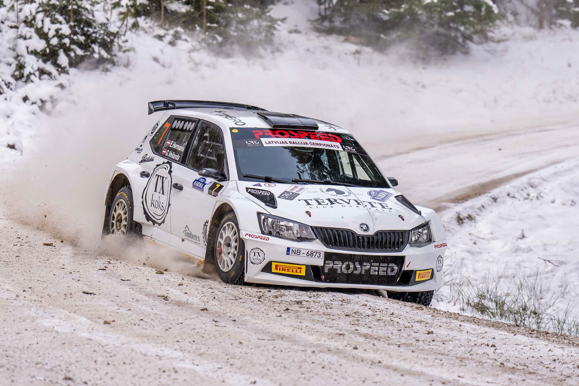 Sarma2025 E Hermanis